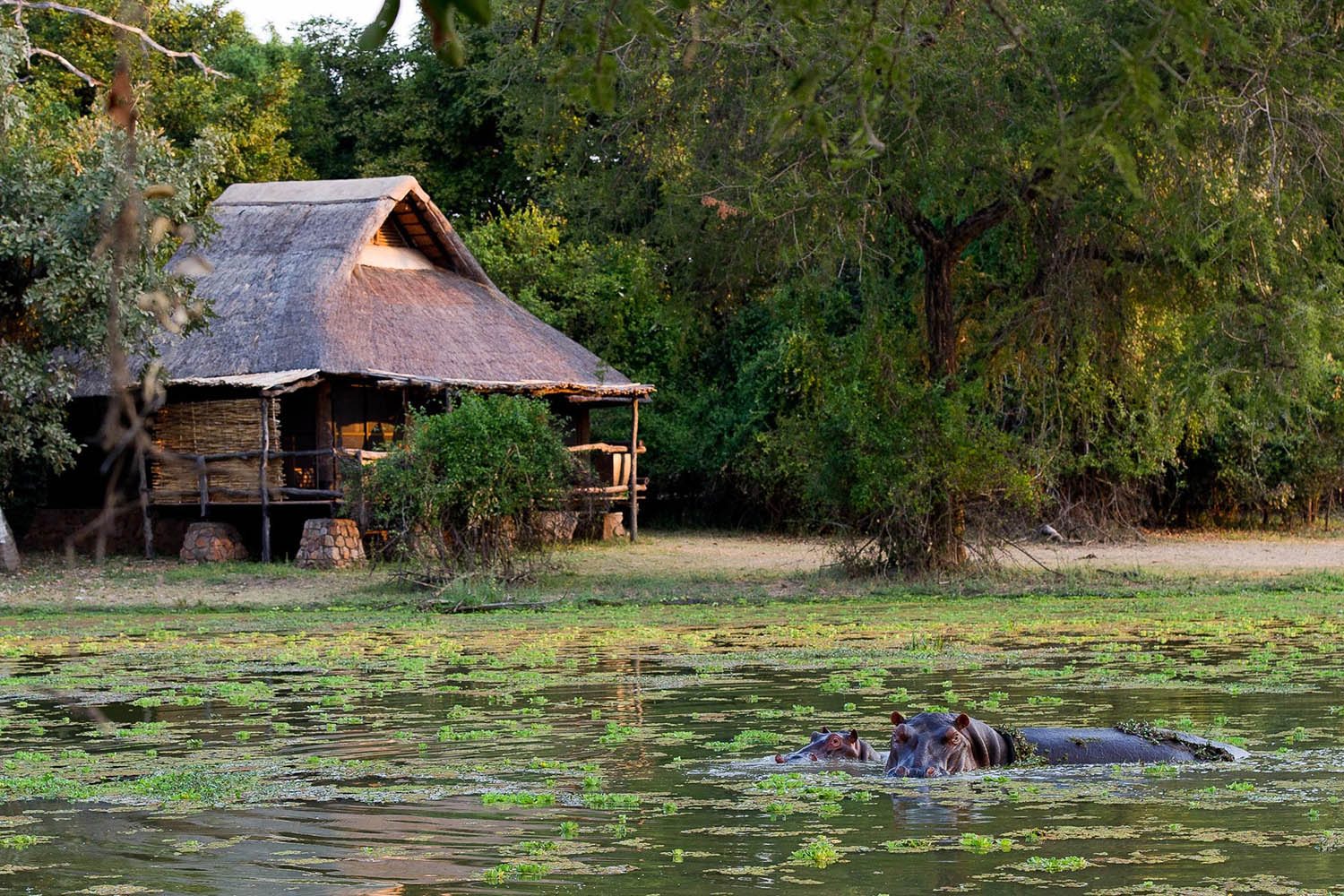Mfuwe, Zambia